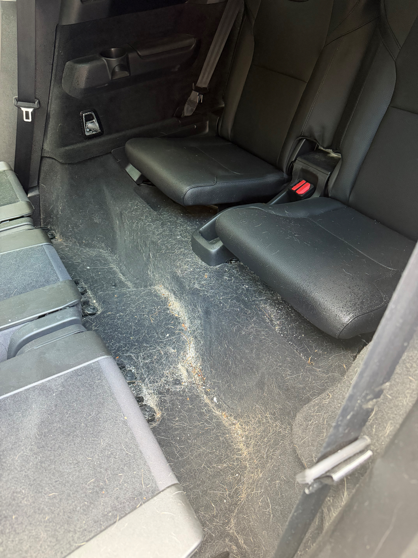 Truck rear seats and carpet before and after pet hair removal — before